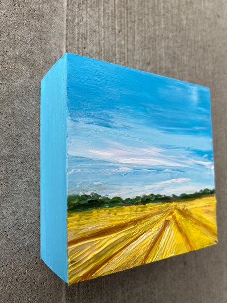 Canola fields II 4x4