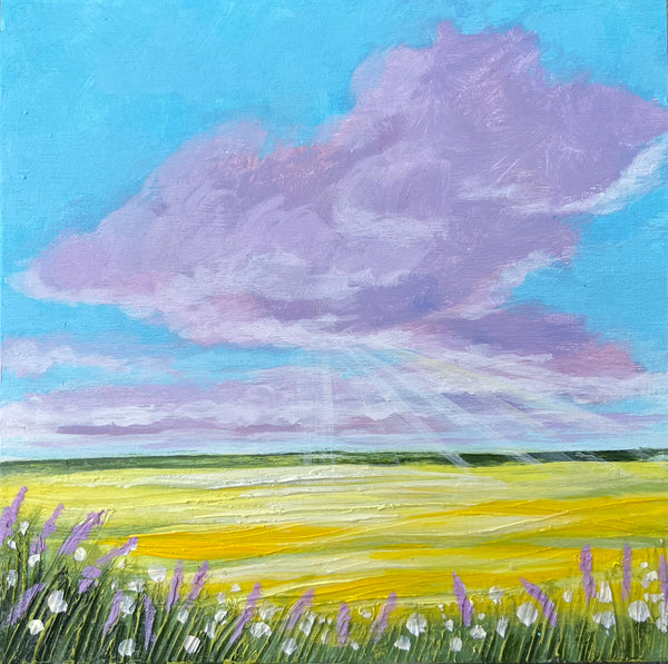 Lavender and Canola 6x6