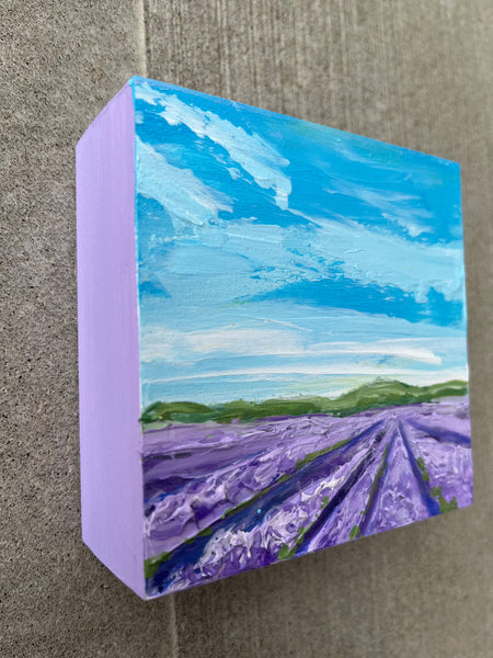 Lavender Fields II 4x4