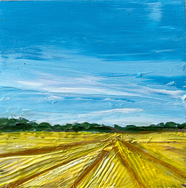 Canola fields II 4x4
