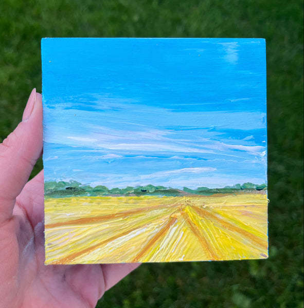 Canola fields II 4x4
