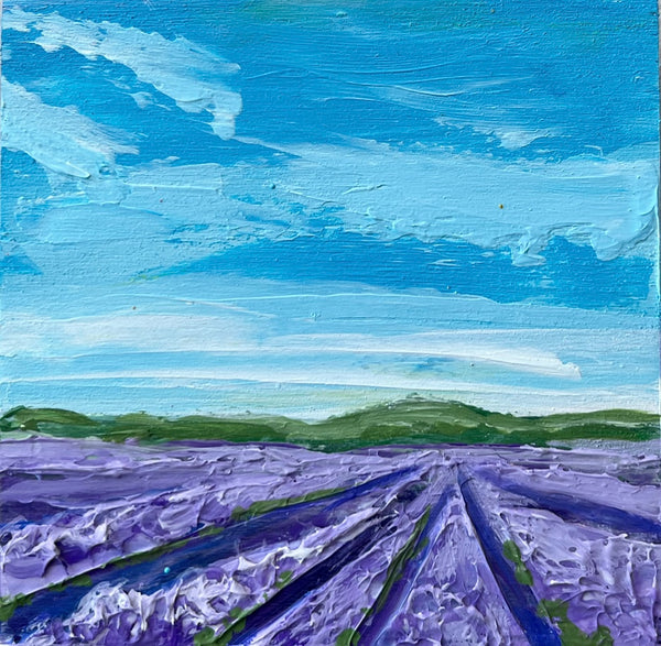 Lavender Fields II 4x4