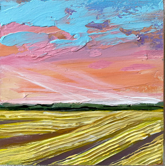 Canola fields I 4x4