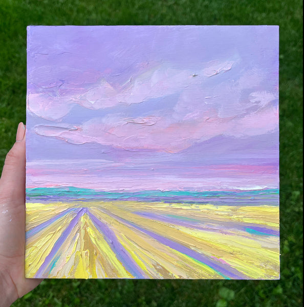 Canola Fields VII 8x8