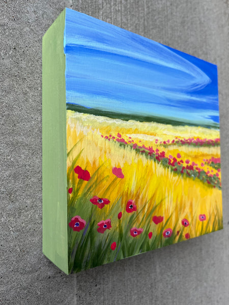 Poppies and Canola 6x6
