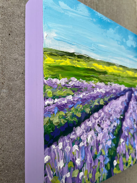 Lavender Fields I 8x8