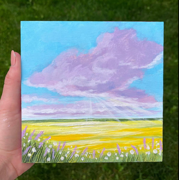 Lavender and Canola 6x6