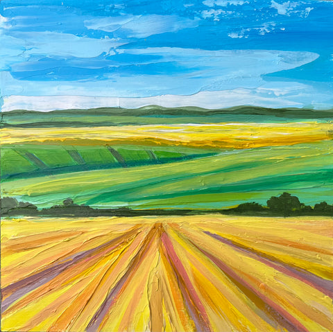 Canola Fields VI 8x8