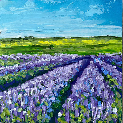Lavender Fields I 8x8