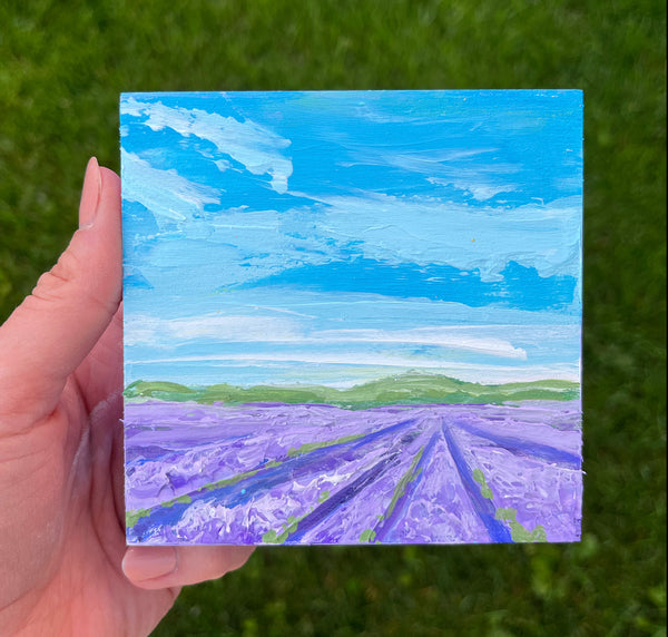 Lavender Fields II 4x4