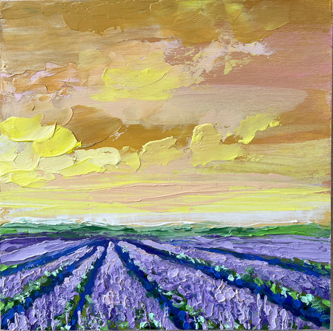 Lavender Fields III 8x8