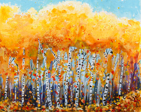 Autumn Birch Trees (Print or Card)